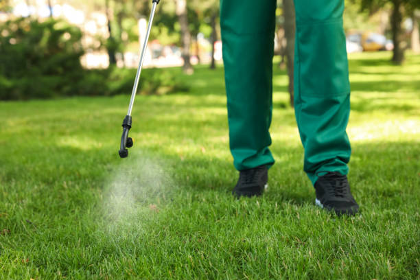 Best Best Pest Control Companies  in Grand Canyon Village, AZ