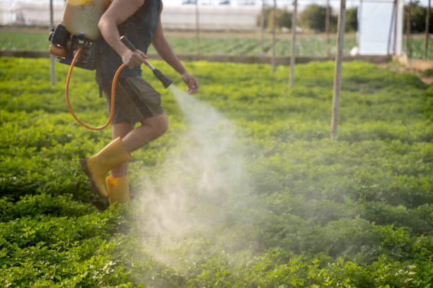 Best Pest Inspection Near Me  in Grand Canyon Village, AZ